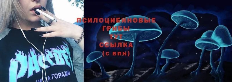 Псилоцибиновые грибы Psilocybe  Севск 